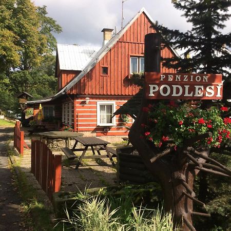 Penzion Podlesi Kořenov Kültér fotó